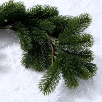 Декор &laquo;Ветвь развесистой ели&raquo;