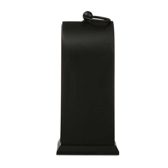 Биокамин NEON-NIGHT &laquo;Фьюжн&raquo;, с эффектом живого огня, 2хС/USB , чёрный