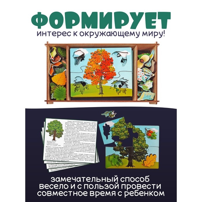 Деревянные пазлы &laquo;Деревья и что на них растёт&raquo;