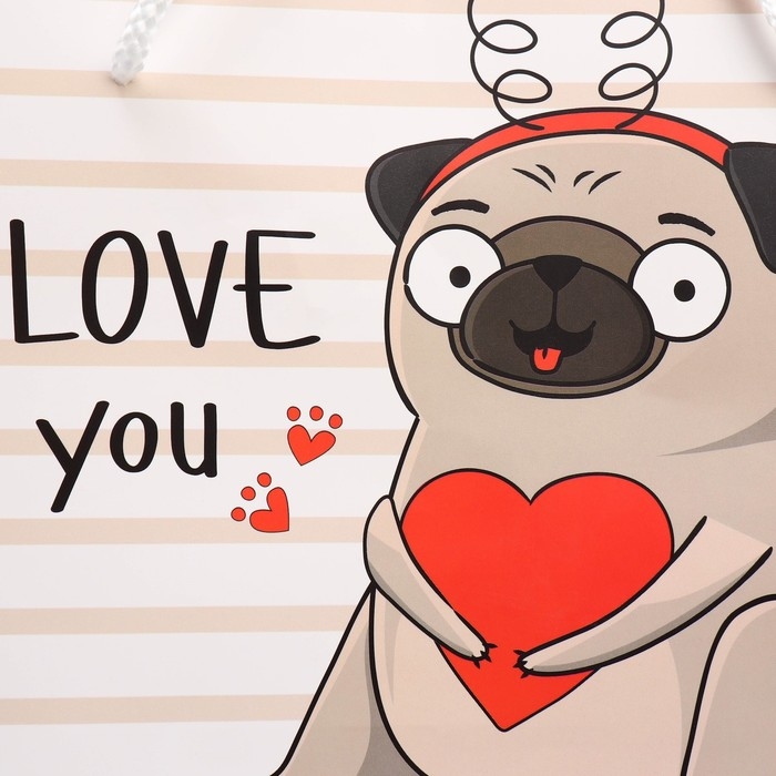 Пакет подарочный, упаковка, &laquo;Love you&raquo;, 25 х 26 х 10 см