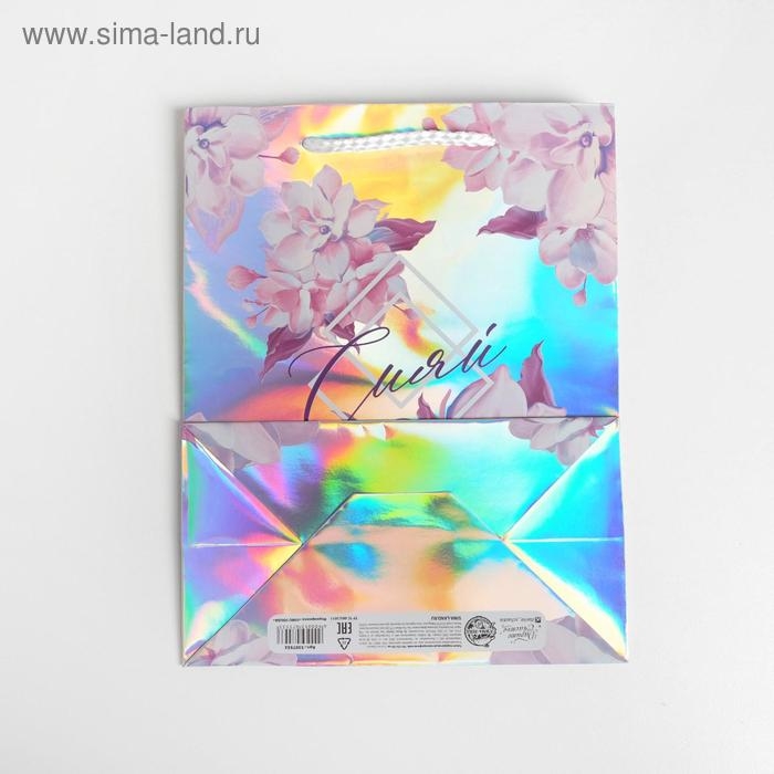 Пакет подарочный голографический, упаковка, «Сияй», 18 х 23 х 10 см Пакет подарочный голографический, упаковка, «Сияй», 18 х 23 х 10 см