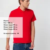 Рубашка поло мужская Spring 210 красная, размер 3XL