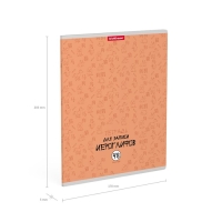 Тетрадь для записи иероглифов, 48 листов в клетку, ErichKrause "Китайская грамота", МИКС Тетрадь для записи иероглифов, 48 листов в клетку, ErichKrause "Китайская грамота", МИКС