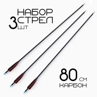 Набор стрел для лука 3 шт, карбон, черная, оперение - красное, 80 см Набор стрел для лука 3 шт, карбон, черная, оперение - красное, 80 см