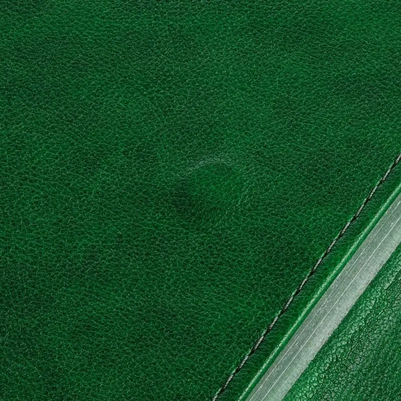 Ежедневник Flap на заказ, недатированный, зеленый