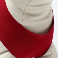 Попона послеоперационная, размер M (ОГ 31-43 см, вес 6-12 кг), бордо Попона послеоперационная, размер M (ОГ 31-43 см, вес 6-12 кг), бордо