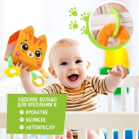 Развивающая игрушка &laquo;Кубик: Котик&raquo;, с прорезывателем, шуршит и звенит