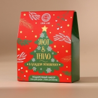 Новый Год. Подарочный набор косметики, гель для душа и пена для ванны, 2 х 100 мл Новый Год. Подарочный набор косметики, гель для душа и пена для ванны, 2 х 100 мл