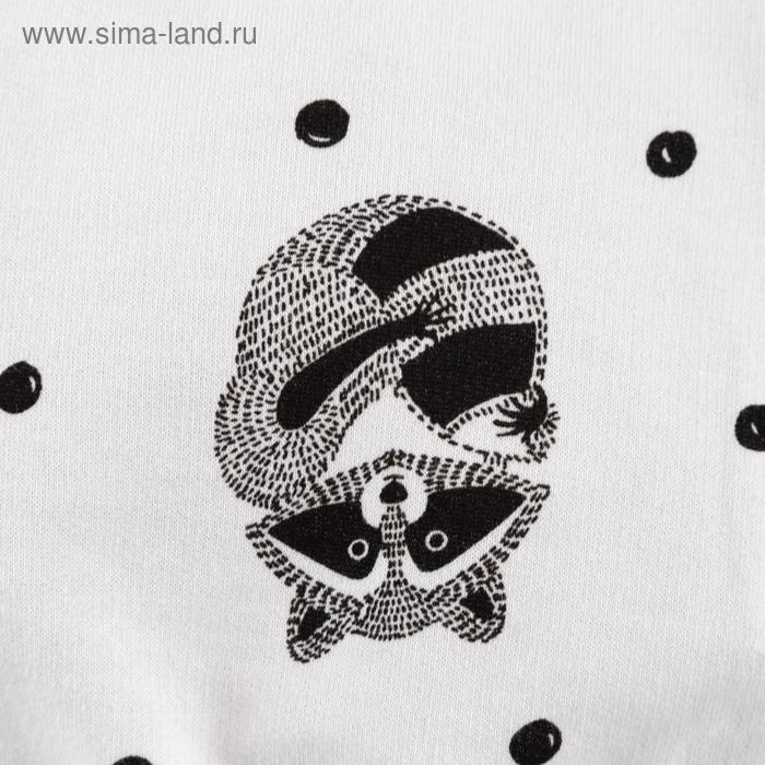 Комплект: джемпер и брюки Крошка Я «Еноты», рост 80-86 см Комплект: джемпер и брюки Крошка Я «Еноты», рост 80-86 см