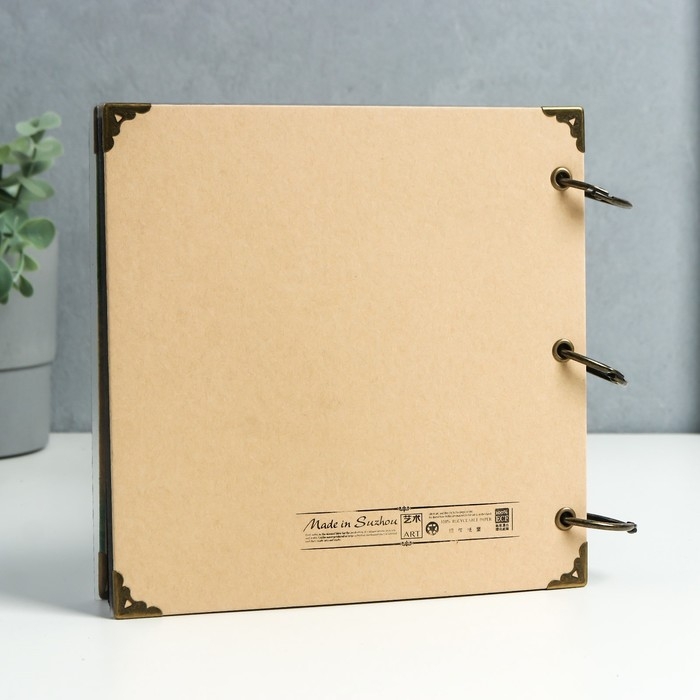 Фотоальбом на кольцах 30 листов "Одуванчик" чёрные листы 18,5х18,5 см