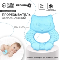 Прорезыватель охлаждающий с водой &laquo;Совушка&raquo;, цвет голубой, Крошка Я
