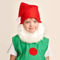 Карнавальный костюм &laquo;Гном&raquo;, 5-7 лет, рост 122-134 см