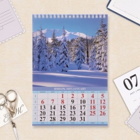 Календарь на пружине без ригеля "Природа" 2025 год, 17 х 25 см Календарь на пружине без ригеля "Природа" 2025 год, 17 х 25 см