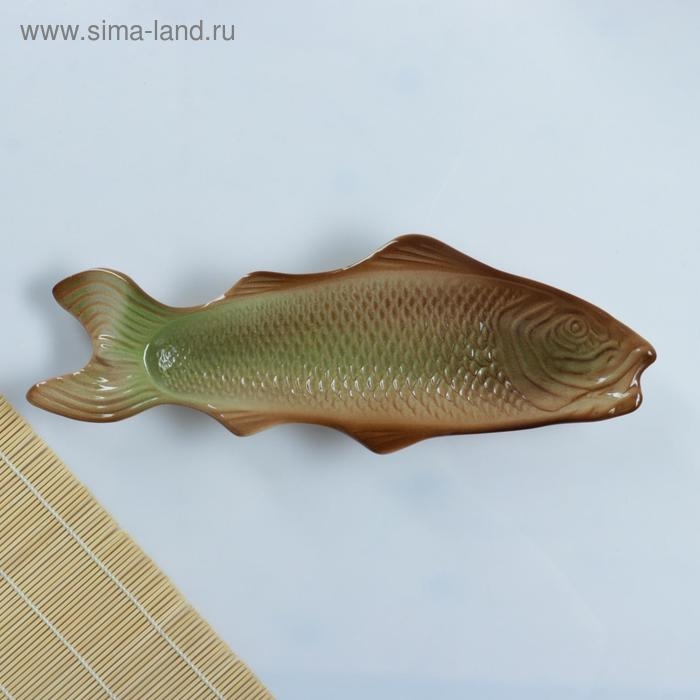 Блюдо Блюдо "Сельдь" 39см, цветная