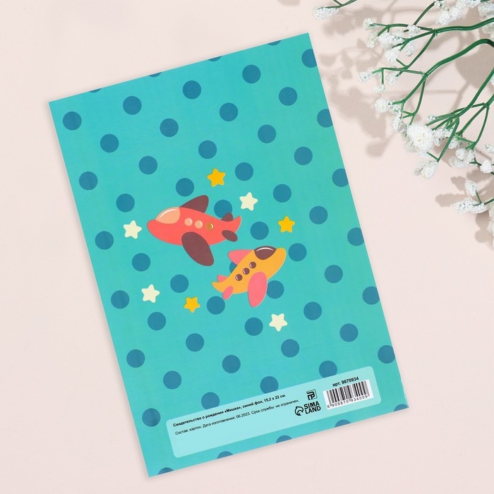 Папка под свидетельство о рождении "Мишка" синий фон, А5