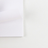 Подарочный набор: блокнот, карандаши (2 шт, ч/г) и значок-дерево &laquo;Самому сильному и надежному&raquo;