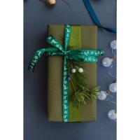 Новый год! Лента атласная &laquo;Олени&raquo;, 15 мм, 23 &plusmn; 1 м, цвет зелёный №56