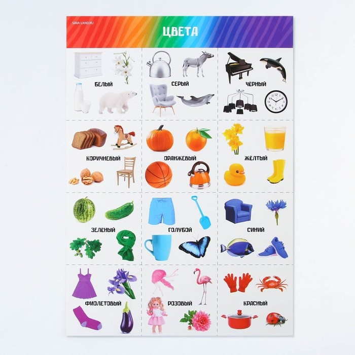 Набор обучающих плакатов «Изучаем мир», 10 в 1, А4 Набор обучающих плакатов «Изучаем мир», 10 в 1, А4