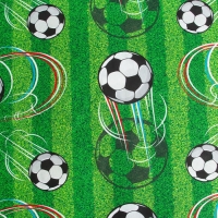 Постельное бельё Этель 1,5 сп &laquo;Футбол&raquo; 143х215 см, 150х214 см, 50х70 см -1 шт, 100% хлопок, бязь 125 г/м2