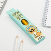 Ручка прикол гелевая черная паста &laquo;Когда сдал ЕГЭ&raquo;, 2 шт.