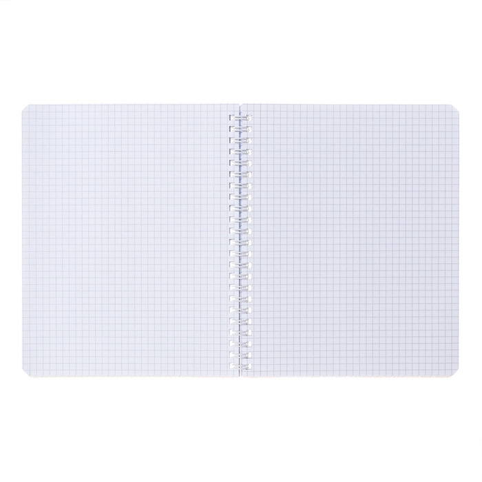 Тетрадь 96 листов в клетку на гребне Тетрадь 96 листов в клетку на гребне "Лабиринт", обложка мелованный картон, глянцевая ламинация, тиснение, блок 65 г/м2, МИКС