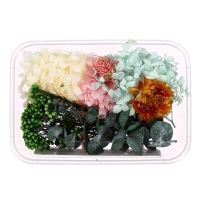 Набор для творчества &laquo;Набор сухоцветов&raquo;, большой, розовый, жёлтый, голубой, зелёный