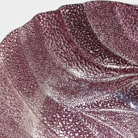 Салатник стеклянный &laquo;Драхна&raquo;, d=33 см, цвет бордовый