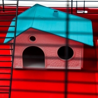 Клетка для грызунов "Пижон" №5, с 3 этажами, укомплектованная, 41 х 30 х 58 см, рубиновая Клетка для грызунов "Пижон" №5, с 3 этажами, укомплектованная, 41 х 30 х 58 см, рубиновая