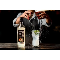 Сироп Spoom &laquo;Кокос&raquo;, 0,25 л