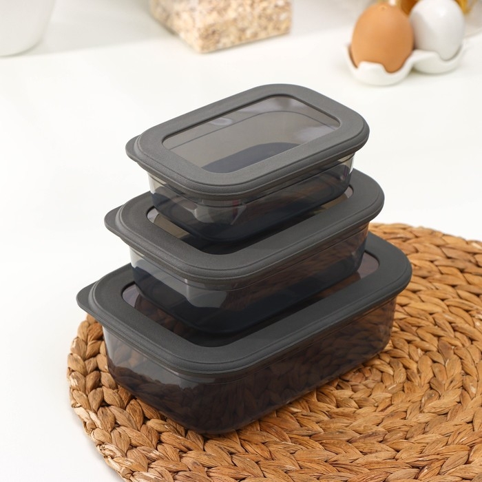 Набор пищевых контейнеров «Респект», 3 шт: 400 мл, 700 мл, 1.2 л, цвет прозрачный, крышка серая Набор пищевых контейнеров «Респект», 3 шт: 400 мл, 700 мл, 1.2 л, цвет прозрачный, крышка серая