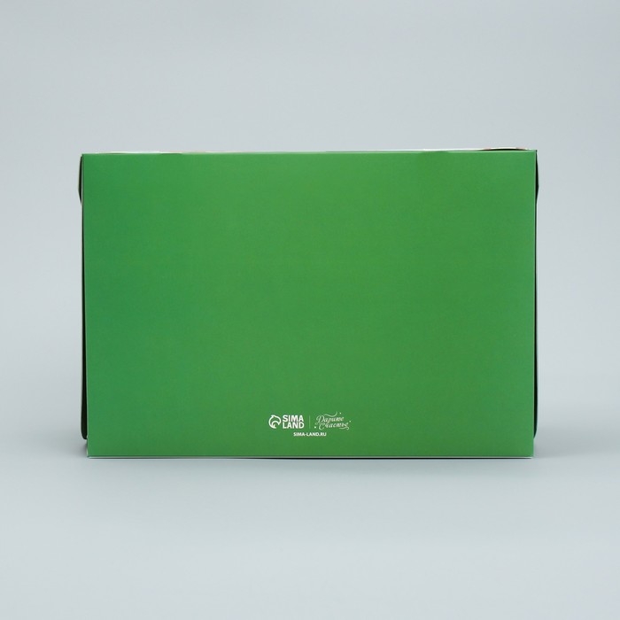 Коробка складная на 6 капкейков с окном &laquo;С Новым годом!&raquo;, лисичка, 25 х 17 х 10 см, Новый год