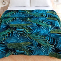 Плед Павлина &laquo;Амазония&raquo;, 150х200см, аэрософт 190г/м, полиэстер