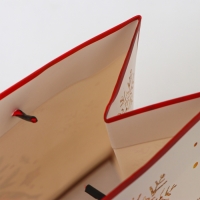 Пакет ламинированный &laquo;Время чудес!&raquo;, MS 23 &times; 18 &times; 10 см