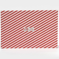 Коробка подарочная с PVC крышкой &laquo;Ретро&raquo;, 20 х 30 х 8 см, Новый год