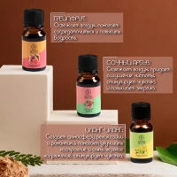 Аромамасло, набор (9 в 1), по 10 мл "Богатство Аромата" №3 Аромамасло, набор (9 в 1), по 10 мл "Богатство Аромата" №3