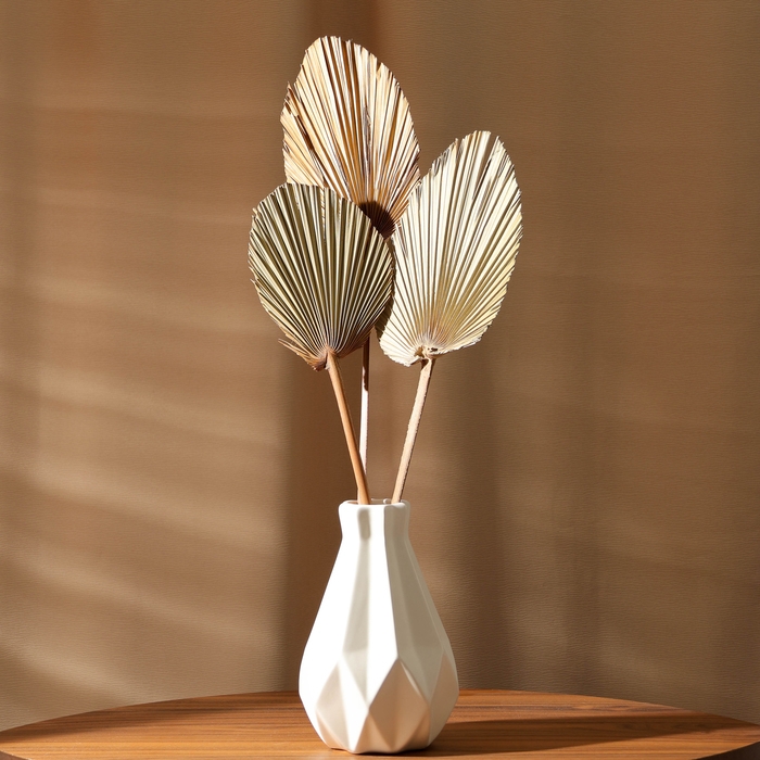 Сухие цветы &laquo;Лист пальмовый&raquo;, 52 &times; 14 &times; 2 см