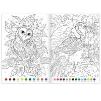 Раскраски по номерам &laquo;Для девочек&raquo;, набор 4 шт., по 16 стр.