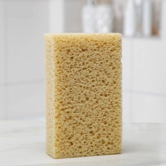 Губка для тела мягкая «Губка морская», 20×11,5×5 см Губка для тела мягкая «Губка морская», 20×11,5×5 см