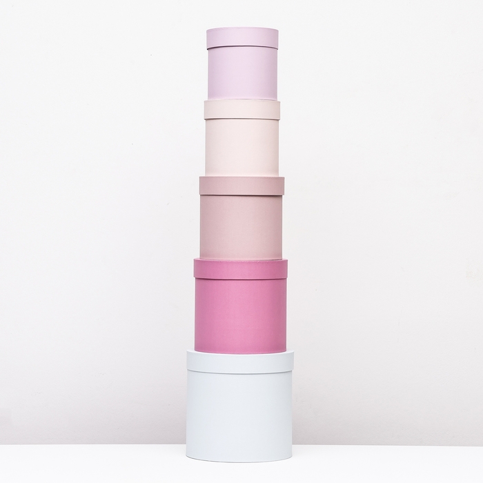 Набор шляпных коробок 5 в 1 Набор шляпных коробок 5 в 1" Нежность" , 23 х23 - 15 х 15 см