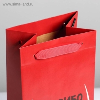 Пакет подарочный ламинированный под бутылку, упаковка, &laquo;Спасибо за повод&raquo;, 13 x 35 x 10 см