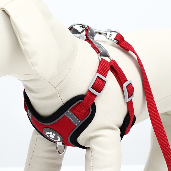 Комплект Sport+, М, поводок 120 x 1,5 см, ОШ 44-48 см, ОГ 51-60 см, вес животного 14-20 кг, красный