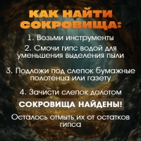 Набор для раскопок &laquo;Сокровища дракона&raquo;