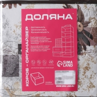 Короб стеллажный для хранения Доляна &laquo;Астра&raquo;, 25&times;25&times;25 см