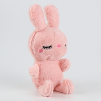 Мягкая игрушка в шоубоксе "Зайка" Мягкая игрушка в шоубоксе "Зайка"