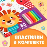 Книга &laquo;Лепим из пластилина&raquo;, объёмные аппликации, 30 поделок