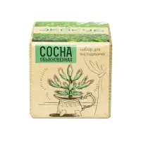 Набор для выращивания &laquo;Экокуб&raquo;, сосна