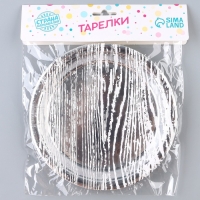 Тарелка бумажная &laquo;Полосы&raquo;, в наборе 6 шт., цвет серебро