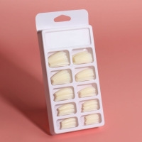 Типсы для наращивания ногтей, 100 шт, форма балерина, короткая контактная зона, в контейнере, цвет бежевый Типсы для наращивания ногтей, 100 шт, форма балерина, короткая контактная зона, в контейнере, цвет бежевый