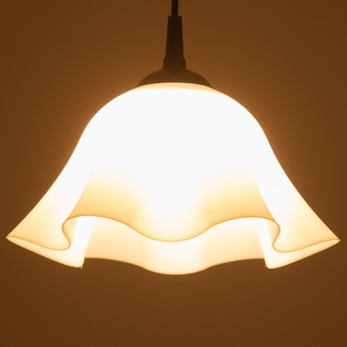 Люстра Люстра "Ирис" 1х15Вт Е27 МОДЕЛЬ: BR 00260 черный/белый 28х28х14см