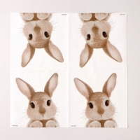 Салфетки бумажные однослойные «Кролик», 33 х 33 см, набор 20 штук Салфетки бумажные однослойные «Кролик», 33 х 33 см, набор 20 штук